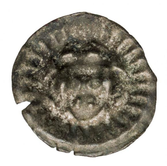 Brakteat Gryfia / Greifswald