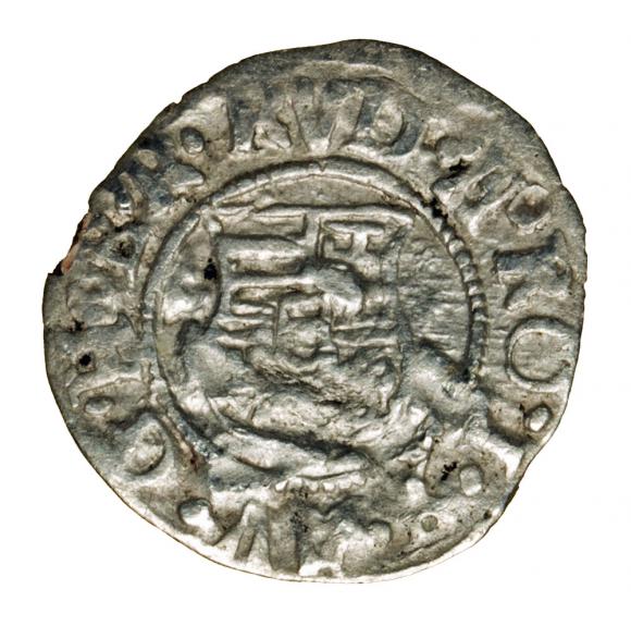 Denar 1593 Rudolf II Habsburg Węgry Kremnica