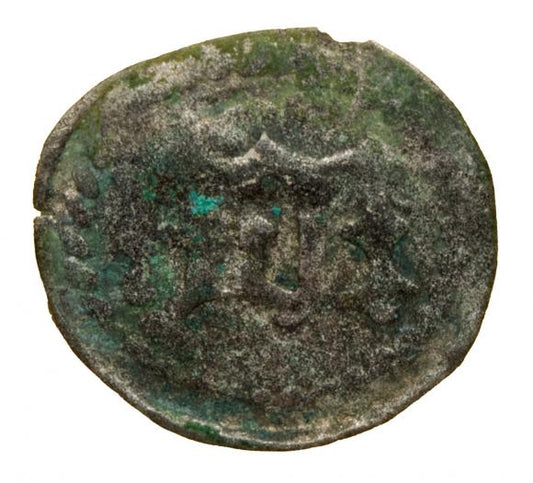 Fenig 1482-1520 Zgorzelec