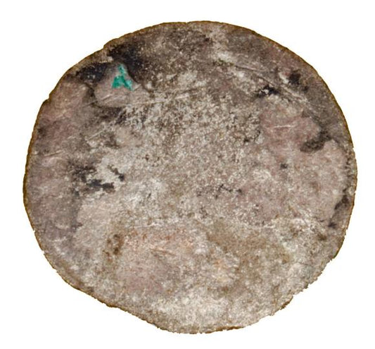 Fenig Ferdynand I Habsburg