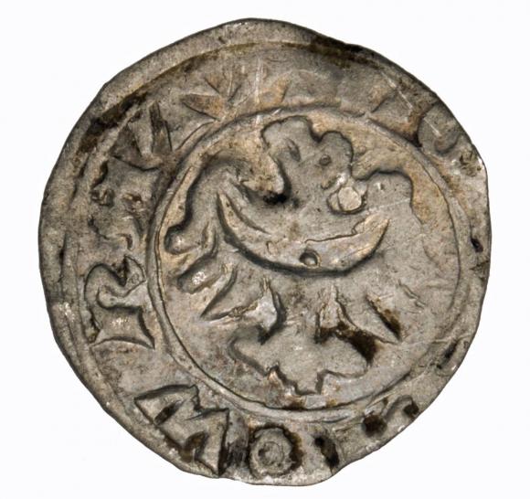 Halerz 1346-1378 Karol I Księstwo Wrocławskie Wrocław