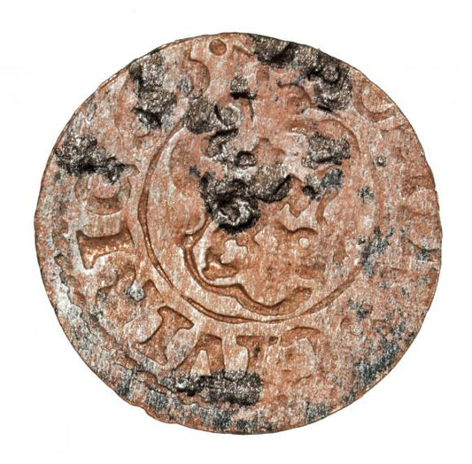 Szeląg 1663 Karol XI Ryga