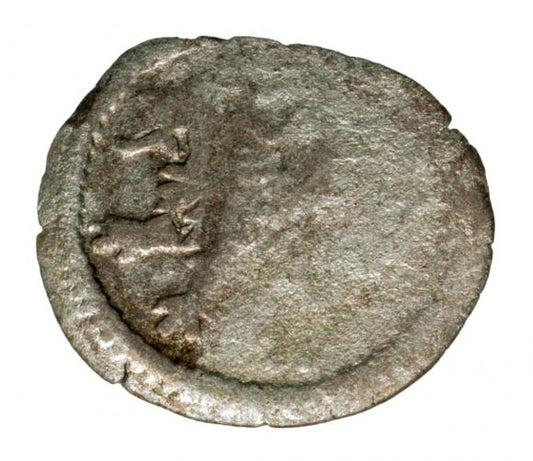 Halerz Władysław II Jagiellończyk Wrocław