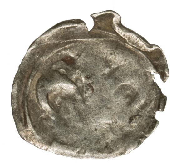 Denar Lilia Gryf Dymin Pomorze Zachodnie