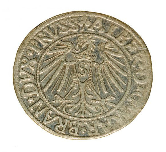 Grosz 1542 Albrecht Hohenzollern Księstwo Pruskie Królewiec