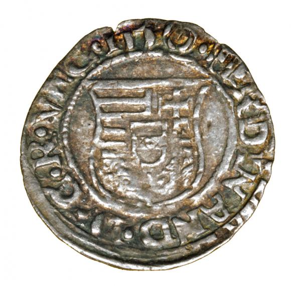 Denar 1550 Ferdynand I Habsburg Węgry Kremnica