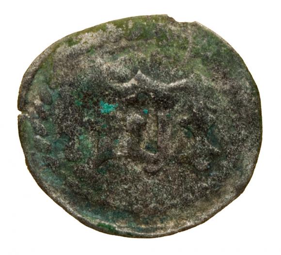 Fenig 1482-1520 Zgorzelec