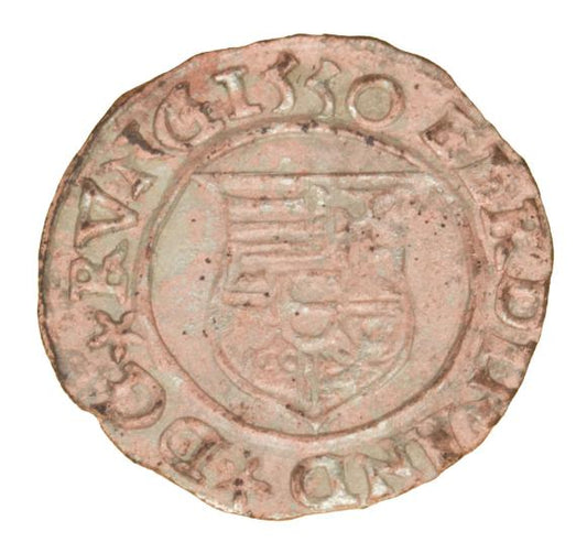 Denar 1555 Ferdynand I Habsburg Węgry