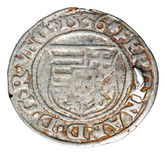 Denar 1536 Ferdynand I Habsburg Węgry Kremnica