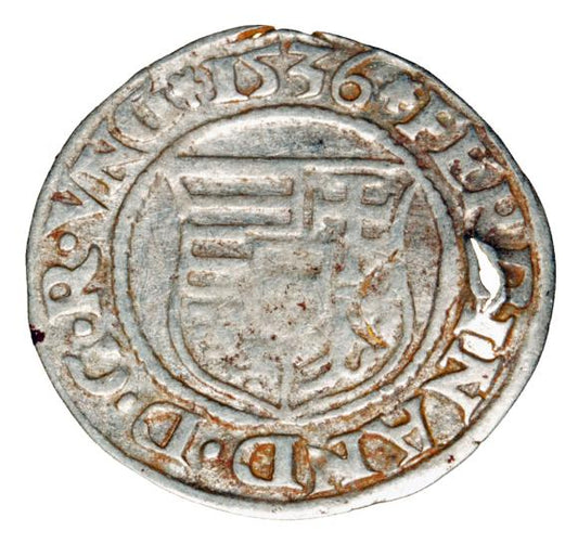 Denar 1536 Ferdynand I Habsburg Węgry Kremnica