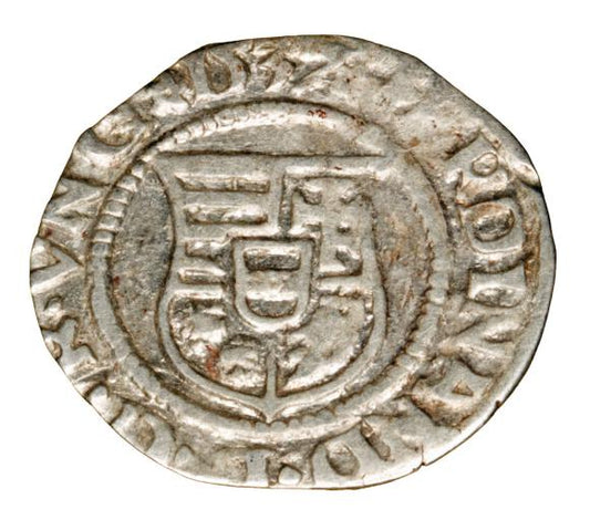 Denar 1537 Ferdynand I Habsburg Węgry Kremnica