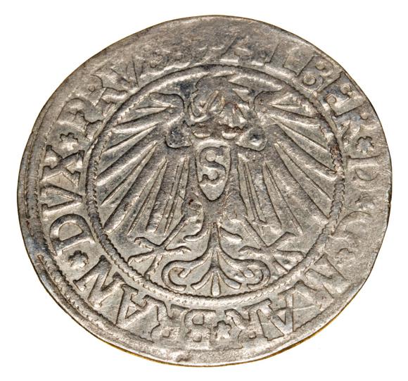 Grosz 1541 Albrecht Hohenzollern Księstwo Pruskie Królewiec