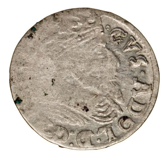 Grosz 1629 Gustaw II Adolf Elbląg