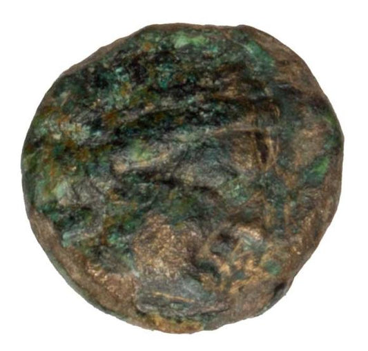 Brąz IVw p.n.e. Troas Grecja Gargara