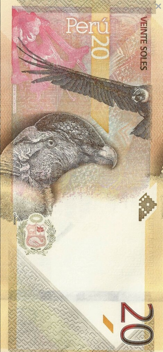 Peru 20 soles Kondor 2019 P-197